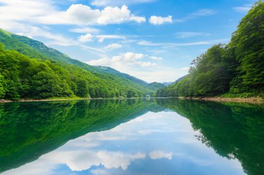 Yaz gündoğumunda Biogradskoe Gölü 'nde yansıma