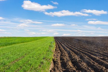 Mavi gökyüzü ve beyaz bulutların altında sürtünmüş ve ekilmiş tarlalar