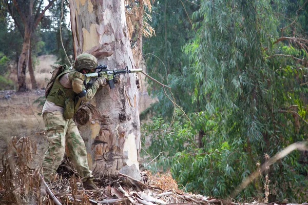 Military Hid Tree Fired Enemy Guy Camouflage Hiding Tree Backdrop — ストック写真