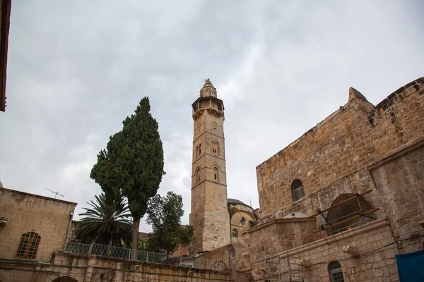 One Temples Jerusalem Gray Sky Two Trees Palm Tree Grow — Fotografia de Stock