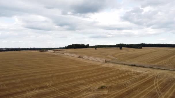 Vista aérea de las balas de heno en la agricultura, el campo de trigo después de la cosecha. Volando sobre el impresionante campo de oro recto de cargas de heno en el día soleado — Vídeos de Stock