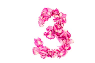 Pembe yapraklardan yapılmış 3 numara. Pembe güller. Dekorasyon elementi