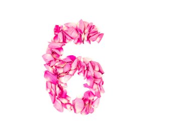Pembe yapraklardan yapılmış 6 numara. Pembe güller. Dekorasyon elementi