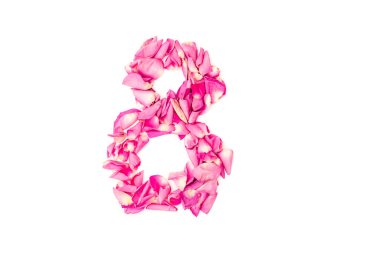 Pembe yapraklardan yapılmış 8 numara. Pembe güller. Dekorasyon elementi