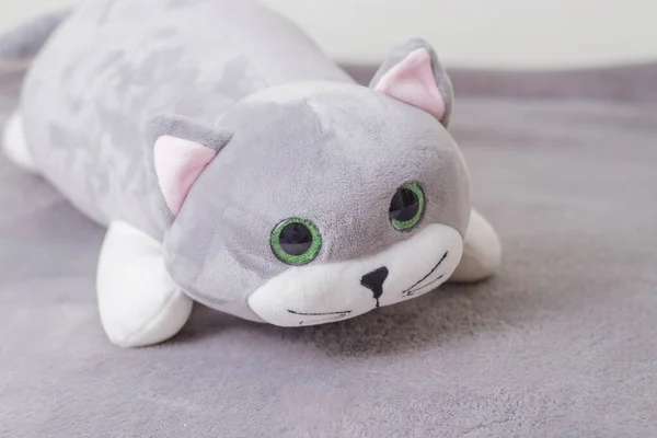 children's toy cat. child friend. A fluffy cats plush soft toy.