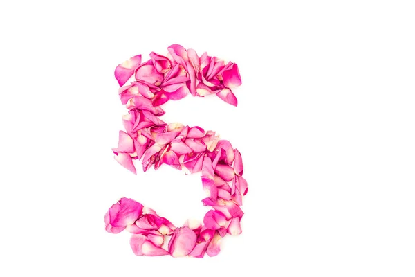 Number Made Pink Petals Rose Pink Roses Element Decoration — Stock Photo, Image