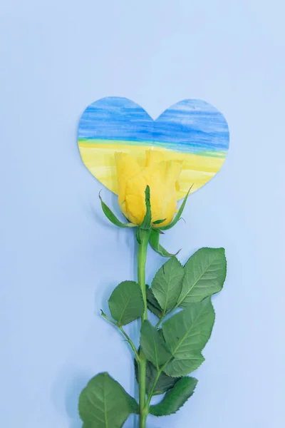Čerstvá Žlutá Růže Fialová Tulipánová Kytice Vedle Leží Srdce Podobě — Stock fotografie
