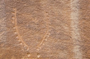Utah 'taki Capitol Resifi Ulusal Parkı' ndaki bir kanyon duvarındaki petrogliflerin yakın çekimi.