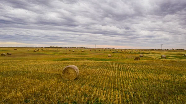 Een Baal Van Hooi Zittend Het Midden Van Een Veld — Stockfoto