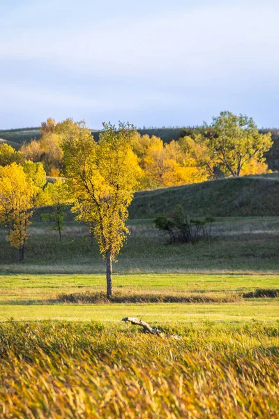 Herbst Blätter Herbst Hintergrund Herbst Farben Herbst Herbst Blätter Herbst — Stockfoto