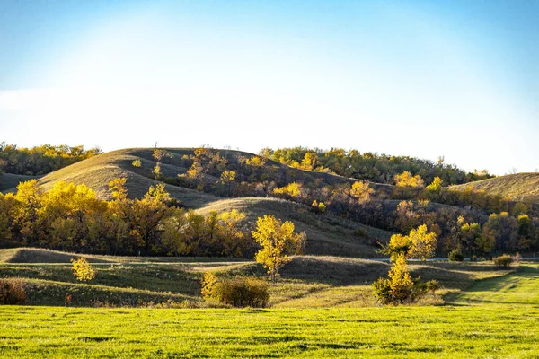 Herbst Blätter Herbst Hintergrund Herbst Farben Herbst Herbst Blätter Herbst — Stockfoto