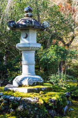 Ormanda bir Japon bahçe mabedi ve Tenryu-Ji Tapınağı 'nda güneş ışığıyla kaplı bir yosun..