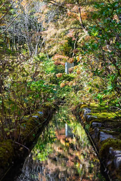Canal Water Flowing Away Viewer Reflecting Colors Fall Foliage Camera — Zdjęcie stockowe