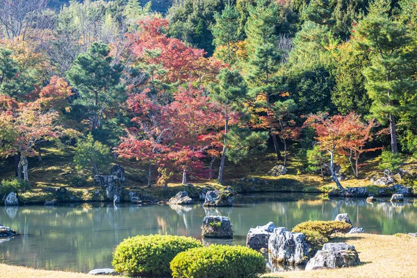 Kyoto 'daki Tenryu-Ji Tapınağı' nda sonbahar bahçesi. Gölün durgun sularına yansıyan sonbahar renkleri..