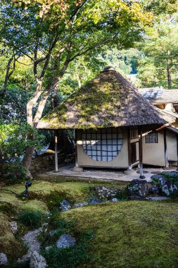 Yumuşak ışıkta sonbahar renkleri olan geleneksel Japon binaları.