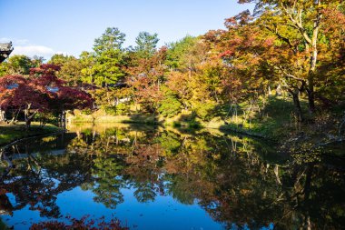 Kyoto Japonya 'daki Kodaji Tapınağı' nın etrafındaki gölün renkleri sabahın erken saatlerinde suda yansıyan aynaya benzer..