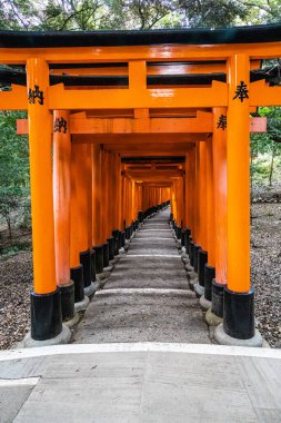 Senbon Torii, Binlerce Torii Kapısı, Fushimi Inari Taisha Shinto Tapınağı gündüz vakti.