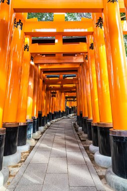 Senbon Torii, Binlerce Torii Kapısı, Fushimi Inari Taisha Shinto Tapınağı gündüz vakti.