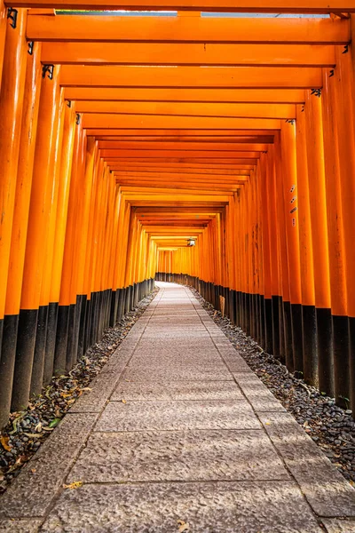 Senbon Torii Migliaia Porta Torii Fushimi Inari Taisha Sacrario Scintoista — Foto Stock