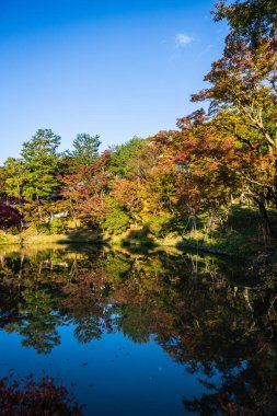 Kyoto Japonya 'daki Kodaji Tapınağı' nın etrafındaki gölün renkleri sabahın erken saatlerinde suda yansıyan aynaya benzer..