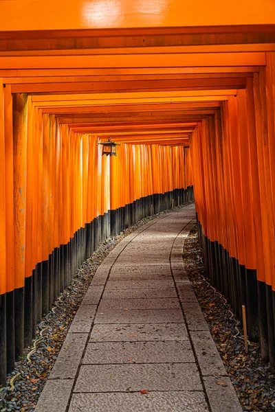 stock image The Senbon Torii, Thousands Torii Gate, at Fushimi Inari Taisha Shinto shrine in daylight.