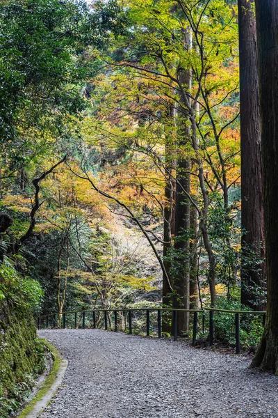 Uma Trilha Caminhada Curvada Através Uma Floresta Outono Com Notas — Fotografia de Stock