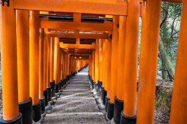 Senbon Torii, Binlerce Torii Kapısı, Fushimi Inari Taisha Shinto Tapınağı gündüz vakti.