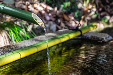 Geleneksel bir Asya bambu çeşmesine yakın çekim. Havuza su sıçrıyor ve arka planda bulanıklık var.