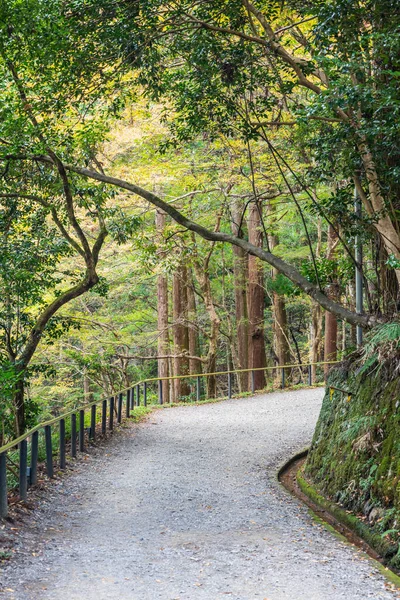 Uma Trilha Caminhada Curvada Através Uma Floresta Outono Com Notas — Fotografia de Stock