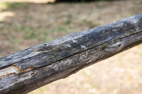 Detail Railing Old Wooden Fence Focus Closest Part Blurring Distance — Stockfoto