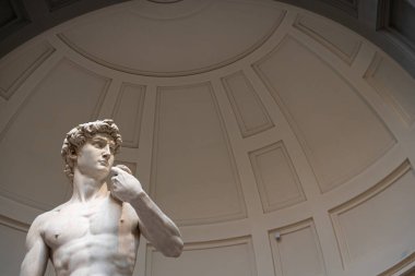 A gothic style church window with iron bars with a green curtain and a trees shadow.
