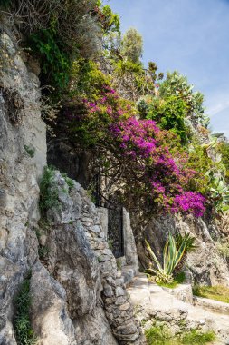 A gate on a cliffside covered in green foliage and trees blooming with purple flowers in direct sunlight in Positano, Italy, Europe