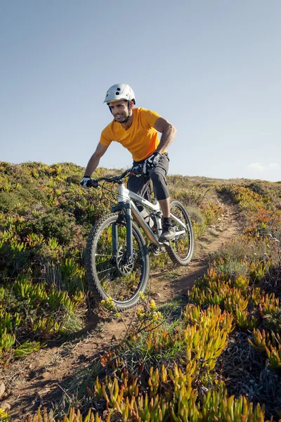 Mountain biker riding dirt trail