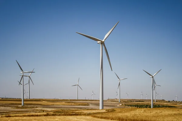 Fazenda de turbinas eólicas no meio dos campos — Fotografia de Stock