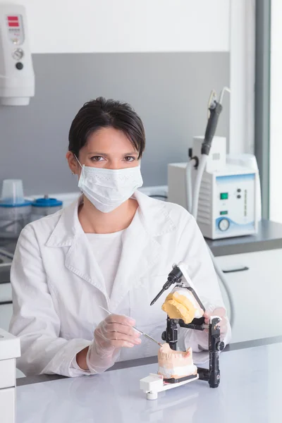 Young woman doctor working in dental prosthesis — Stock Photo, Image