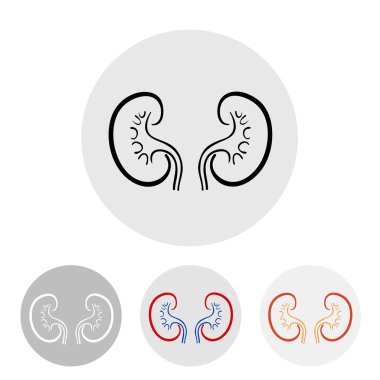 human kidneys on a light background. clipart