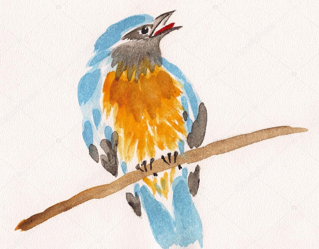watercolor drawing of cute bird on a branch