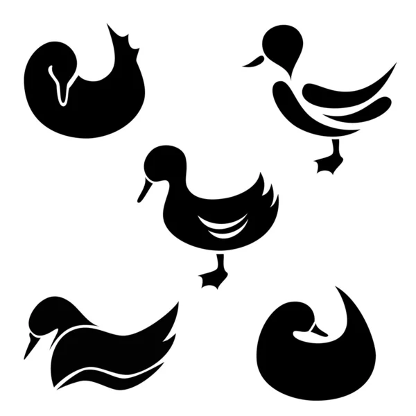 The set of duck — Stock Vector