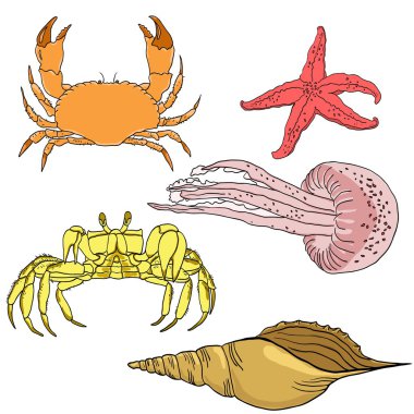 Deniz fauna vektör kümesi.