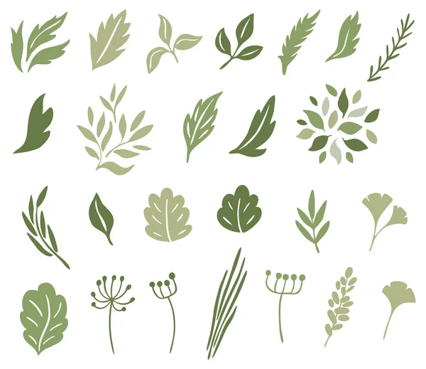 Una serie di foglie astratte. Illustrazione vettoriale. — Vettoriale Stock