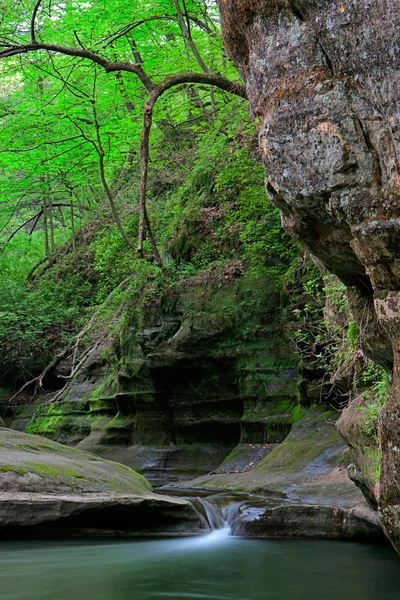 Illinois Canyon — Stock Photo, Image