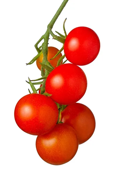 Tomates cereja Fotografias De Stock Royalty-Free