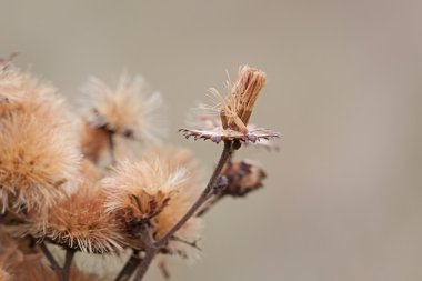 Uçuş hazırlığı