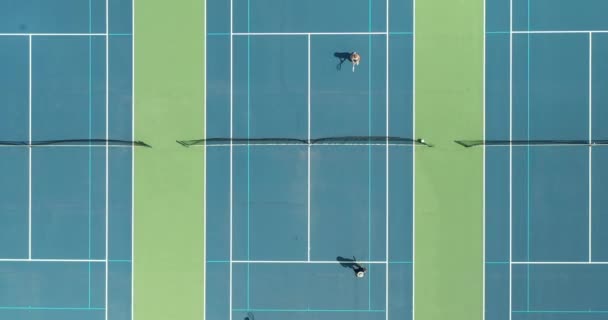Dört Tenisçi Yaz Aylarında Bir Park Bölgesi Tenis Kortunda Birbirlerine — Stok video
