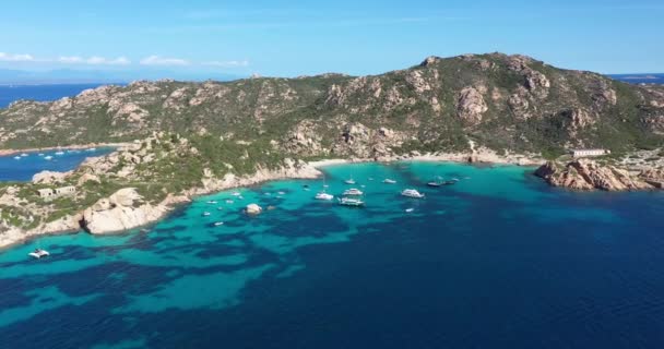 マダレーナ諸島 サルデーニャ イタリアのターコイズウォーターで浴びた白い砂浜 コルサラ島の空中ビュー — ストック動画