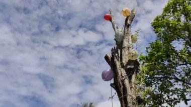 Rengarenk ışıklarla süslenmiş ölü ağaç, gün boyunca güzel bulutlar.