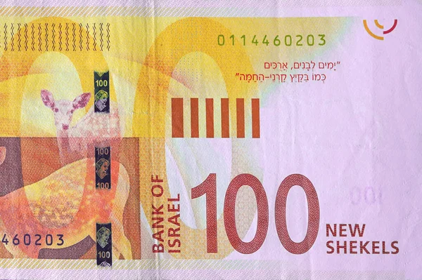 イスラエルの新紙幣 100シェケル クローズアップ — ストック写真