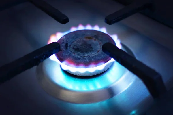 Closeup Shot Blue Fire Domestic Kitchen Stove Gas Cooker Burning — ストック写真