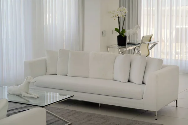 Beautiful living room with white sofa. Modern white sofa in Luxury villa or hotel