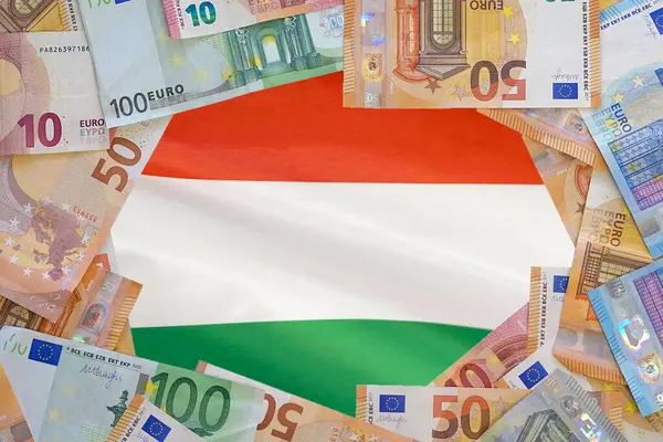 Банкноты Евро Фоне Флага Венгрии Различные Евробанкноты Рамка Бизнес Финансы — стоковое фото